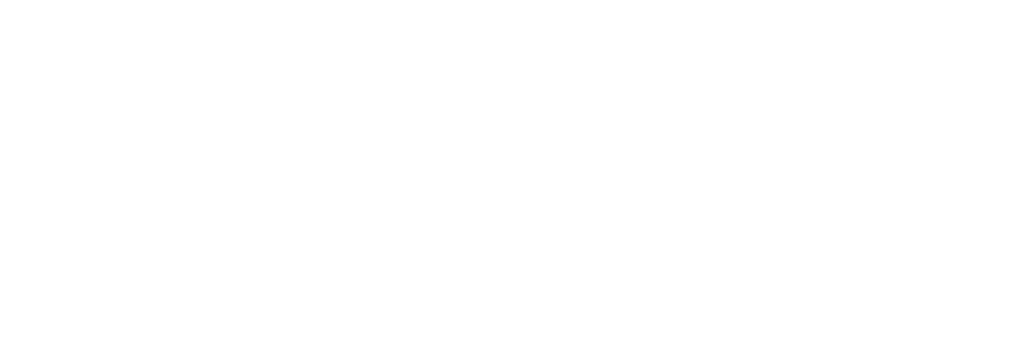 Scan Carbone Logo